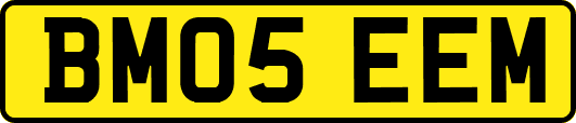 BM05EEM