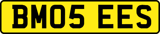 BM05EES