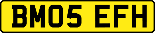BM05EFH