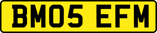 BM05EFM