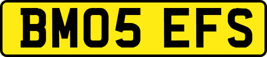 BM05EFS