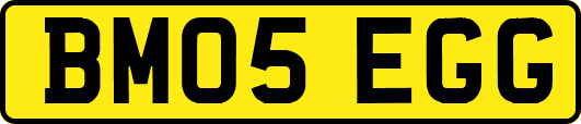 BM05EGG