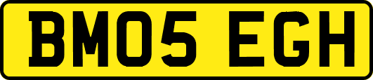 BM05EGH