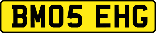 BM05EHG