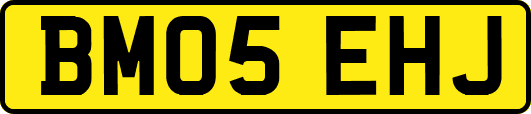 BM05EHJ