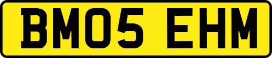 BM05EHM
