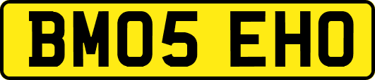 BM05EHO