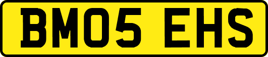 BM05EHS