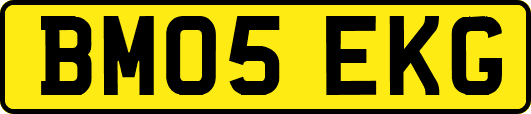 BM05EKG
