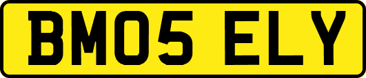 BM05ELY