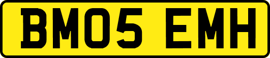 BM05EMH