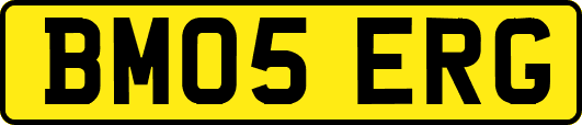 BM05ERG