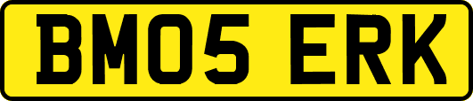 BM05ERK