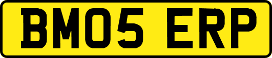 BM05ERP