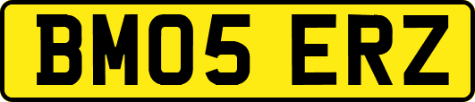 BM05ERZ