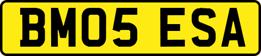 BM05ESA