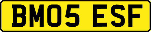 BM05ESF