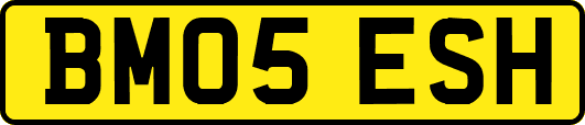 BM05ESH