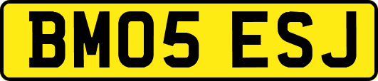 BM05ESJ