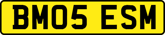 BM05ESM