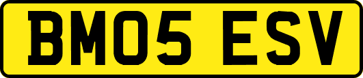BM05ESV