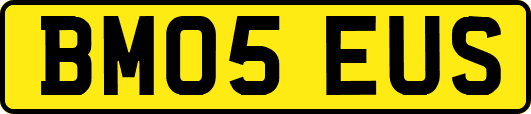 BM05EUS