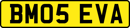 BM05EVA