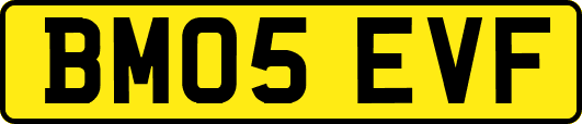 BM05EVF
