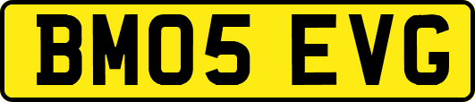 BM05EVG
