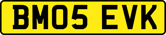 BM05EVK