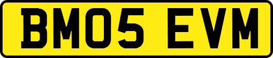 BM05EVM