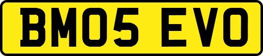 BM05EVO