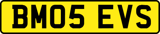 BM05EVS