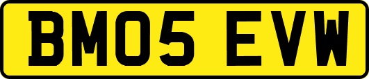 BM05EVW