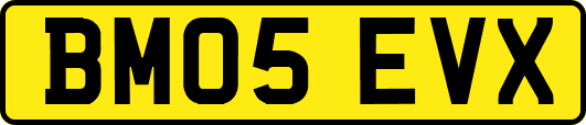 BM05EVX