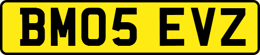 BM05EVZ