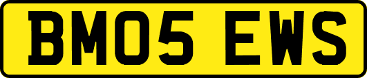 BM05EWS