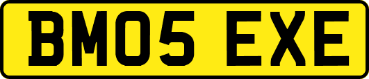 BM05EXE