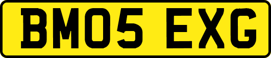 BM05EXG