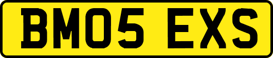 BM05EXS