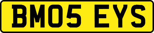 BM05EYS