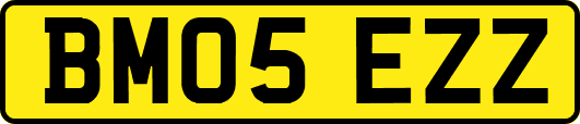 BM05EZZ