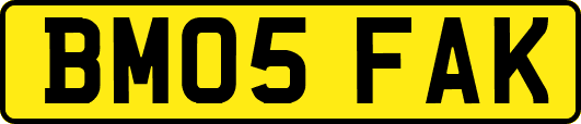 BM05FAK