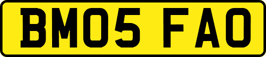 BM05FAO