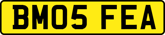 BM05FEA