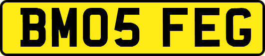 BM05FEG