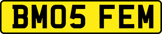 BM05FEM