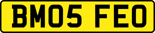 BM05FEO