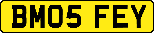 BM05FEY
