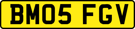 BM05FGV